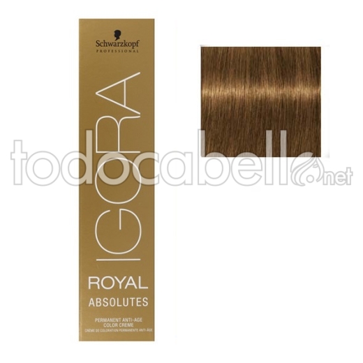 Schwarzkopf Tint Igora Royal ABSOLUTES 9-470 Very Light Blonde Natural Copper Beige 60ml