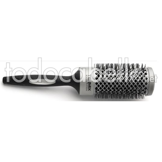 Termix Brush Evolution Basic.  Normal Hair 60mm