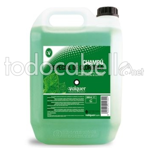 Valquer Bottle Shampoo 5L Chlorophyll