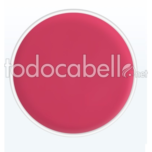 Kryolan Godet Replacement Lipstick Palette ref: LC122 4g