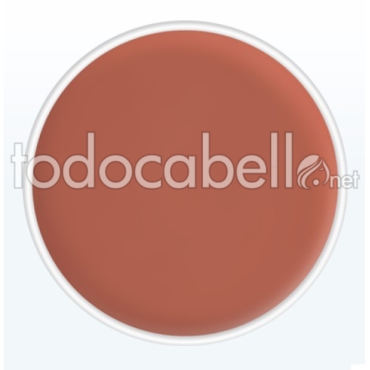 Kryolan Godet Replacement Lipstick Palette ref: LF404 4g