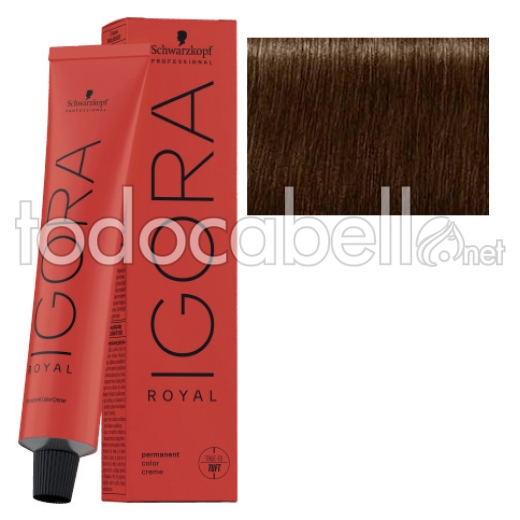 Schwarzkopf Igora Royal 6-12 Dark Ash Chocolate Blonde + Oxygenated  Kosswell