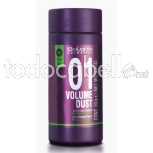 Salerm Pro.line Volume Dust.  Powder Matrix 10g