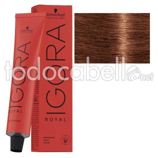 Schwarzkopf Tint Igora Royal 7-76 Medium Blonde Copper Brown + Oxygenated