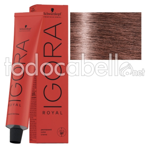 Schwarzkopf Tint Igora Royal 8-84 Light Blonde Red Beige + Oxygenated