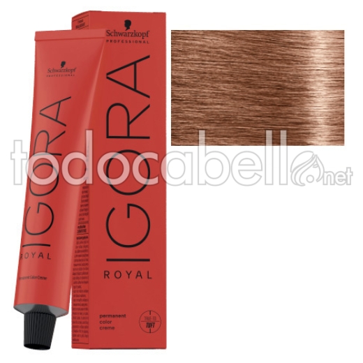 Schwarzkopf Tint Igora Royal 9-67 Very Light Blonde Copper Brown + Oxygenated