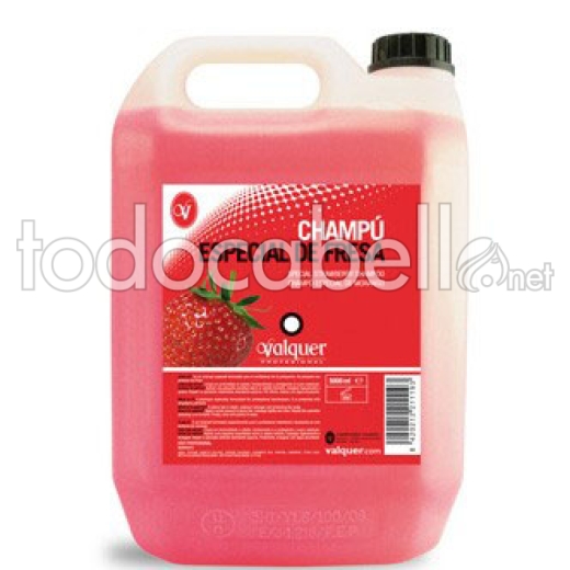 Valquer Bottle Shampoo 5L Strawberry