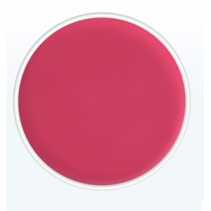 Kryolan Godet Replacement Lipstick Palette ref: LC122 4g