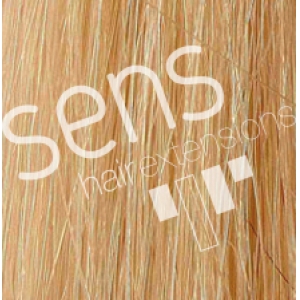 Extensions 100% Natural Hair Stitched with 3 clips nº 9,3 Blonde Light Golden