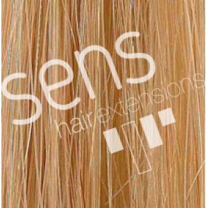 Extensions 100% Natural Hair Stitched with 3 clips nº 22/9 Blond Extra Light Blonde Light