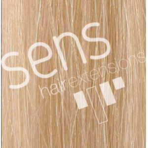 Extensions Hair 100% Natural Sewing with 3 clips nº 60 Rubio Extraclaro Platino