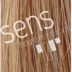 Extensions Hair 100% Natural Stitched with 3 clips nº 23 Blonde Medium Clear
