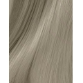 Revlon Tint Revlonissimo Colorsmetique 8.01 Clear Blonde Natural Ash 60ml 2